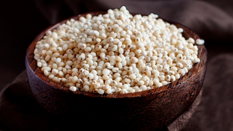 sorghum