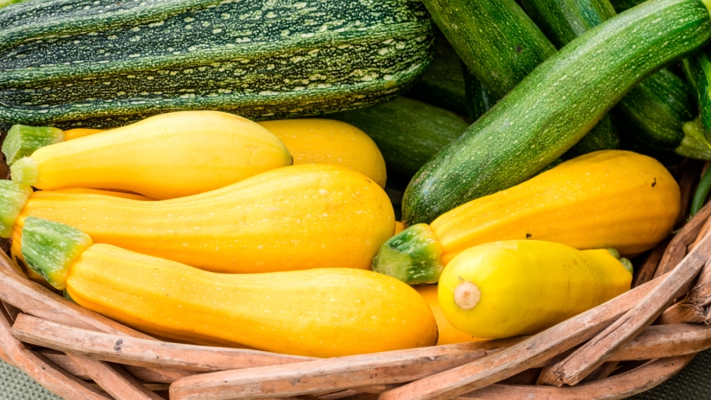 summer-squash