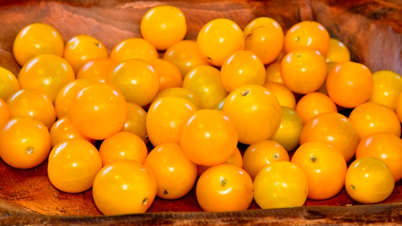 Sungold tomatoes