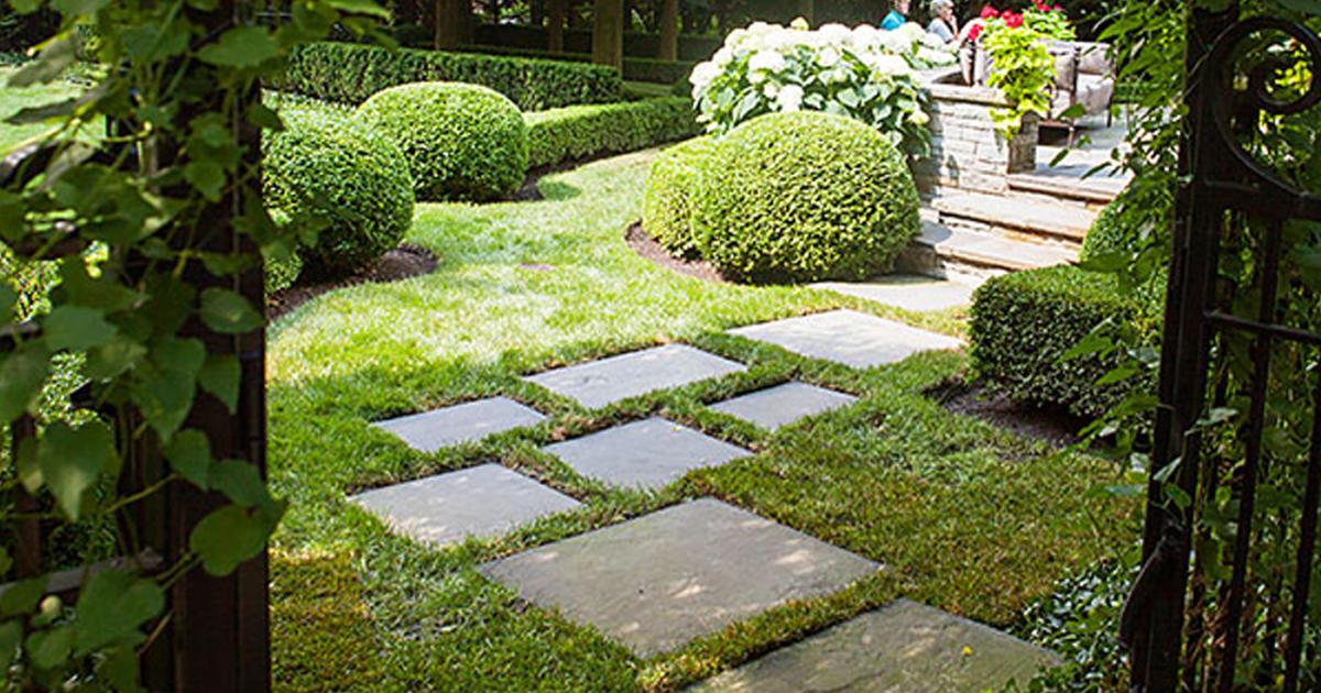 The Elements of Design | Chicago Botanic Garden