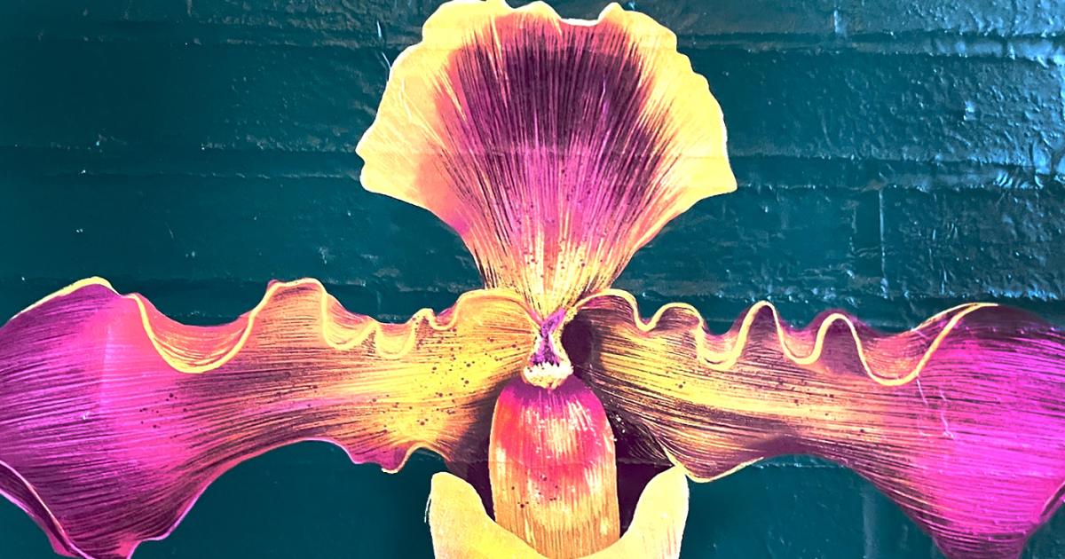 india_blooms_murals_th.jpg?