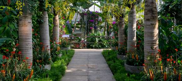 Butterflies & Blooms | Chicago Botanic Garden