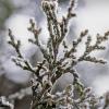 Cold Weather