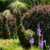 Topiary circle garden