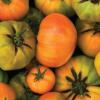 Heirloom Tomatoes