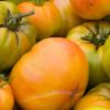 Heirloom Tomatoes