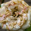 botrytis blight