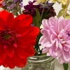 late summer flower arrangement
