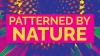 Patterned by Nature
